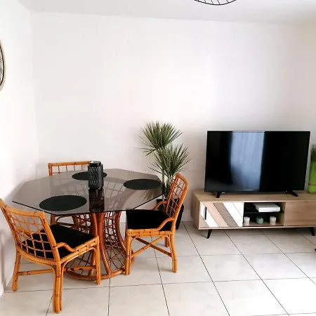Villa Maison Familliale Avec Jardin Toulouse